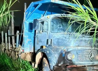 DUPLA É PRESA EM FLAGRANTE POR FURTO DE CAMINHÃO E VEÍCULO É APREENDIDO