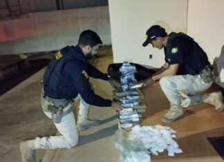 Em ação conjunta PRF e PMMG apreendem Maconha e Cocaína com dentro de ônibus na BR 251