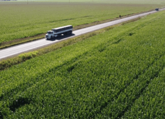 Arrecadação com Fundeinfra em 2023 ficou abaixo do esperado