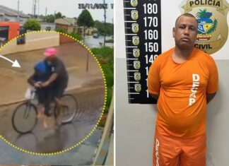 Caso Amélia Vitória: mãe e irmã do suspeito impediram que ele destruísse provas que o ligavam ao crime