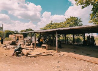 PF combate comercialização ilegal de madeira e prende três pessoas