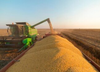 Faeg realiza evento nesta terça-feira (16) no Sindicato Rural de Rio Verde