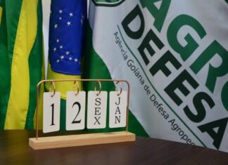 Agrodefesa alerta produtores rurais sobre prazos para a agropecuária em janeiro