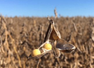 CDE aprova investimento de R$ 65 mi do FCO Rural em Goiás