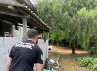 PCGO recupera carga agrícola alvo de fraudes