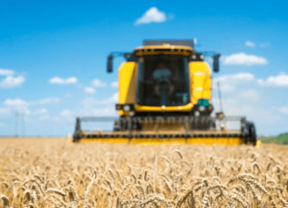 Exportações goianas crescem 14% em fevereiro e atingem US$ 665 milhões