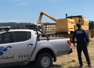 Operação Dagon: Receita investiga fraudes fiscais no agronegócio em Goiás e Bahia