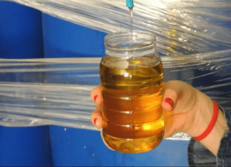 Ministério da Agricultura manda recolher dez marcas de azeite