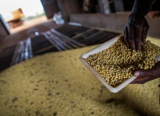 Saldo da balança comercial goiana sobe mais de 80% em março