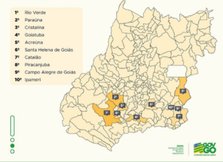 Rio Verde lidera na produção de sorgo em Goiás e no Brasil, aponta ranking da Secretaria Estadual de Agricultura