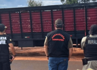 PC, PM e Agrodefesa deflagram operação contra roubo e furto em áreas rurais