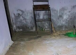 TIO MATA SOBRINHA DE 17 ANOS COM QUASE 30 FACADAS