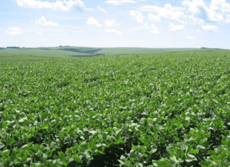 UEG desenvolve estação meteorológica de baixo custo que vai apoiar produtores locais