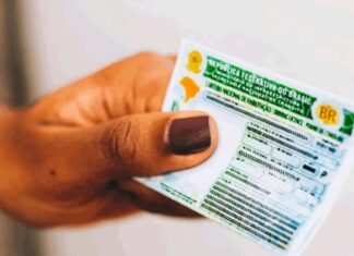 CNH AUTOMÁTICA: MAIS DE UM MILHÃO DE MOTORISTAS RENOVARAM HABILITAÇÃO SEM PAGAR