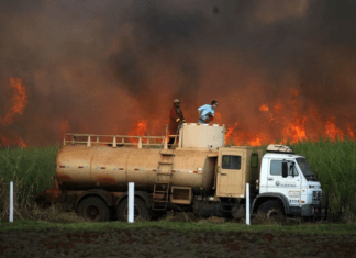 Produtores de cana estimam prejuízo de R$350 mi por queimadas em SP