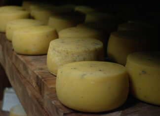 Goiás possui a única caverna de maturação de queijo aprovada no país