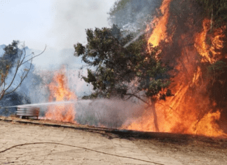 Queimadas podem gerar perda de até R$ 1,5 bilhão para Goiás