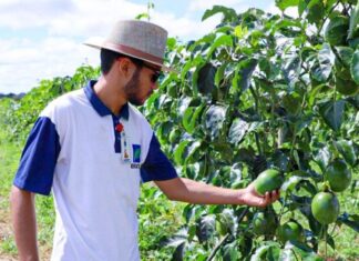 Inscrições ao processo seletivo da Emater terminam na quarta