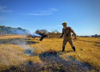 Goiás intensifica monitoramento de queimadas em áreas agrícolas