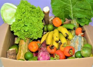 Estiagem e queimadas devem fazer inflação de alimentos voltar ao positivo em setembro