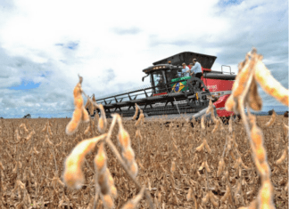 Balança comercial goiana atinge superávit de US$ 5 bilhões