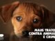CRIME DE MAUS-TRATOS: ANIMAIS ABANDONADOS EM RIO VERDE