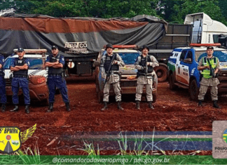 POLÍCIA PRENDE CRIMINOSO EM OPERAÇÃO CONJUNTA APÓS ROUBO DE R$ 40 MIL EM SEMENTES EM QUIRINÓPOLIS