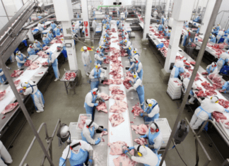 Mapa anuncia 19 novas habilitações de frigoríficos para exportação de carnes brasileiras para África do Sul