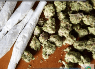 ADOLESCENTE É APREENDIDO COM DROGAS DURANTE OPERAÇÃO NATAL INTEGRADO EM QUIRINÓPOLIS