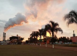 Na busca pela excelência, SJC Bioenergia vence 3 troféus MasterCana