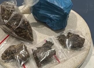 CALDAS NOVAS: HOMEM FOGE E DEIXA NAMORADA GRÁVIDA SER PRESA POR TRÁFICO DE DROGAS