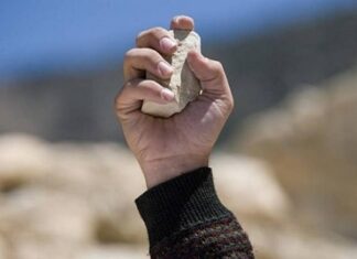 GCM prende em flagrante autor de agresssão em Quirinópolis