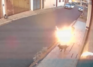 FILHO DE VIZINHO SOLTA BOMBINHA PARA ASSUSTAR CACHORRO E BRIGA TERMINA EM AGRESSÕES E MULHER FERIDA