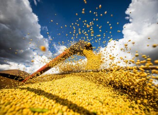 PIB do agro pode crescer 5% em 2025 diz CNA, que alerta para desafios