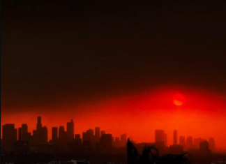 Incêndio florestal deixa Los Angeles em estado de alerta máximo