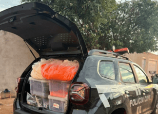 Operação Ilegal Fetish prende homem que registrava e divulgava atos sexuais de parceiras em plataforma da internet