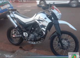 Motociclista é flagrado empinando veículo, tenta fugir da abordagem policial, mas, acaba detido após chocar contra viatura