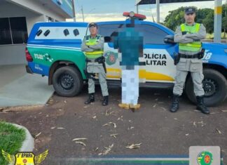 BATALÃO RODOVIÁRIO APREENDE REVÓLVER DURANTE ABORDAGEM NA GO-164, EM QUIRINÓPOLIS