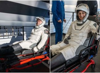 Astronautas que voltaram à Terra após 9 meses passam por reabilitação médica