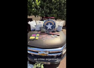 QUIRINÓPOLIS: COD E RECEITA FEDERAL FAZEM APREENSÃO DE ESTUFA DE MACONHA, DROGAS SINTÉTICAS E ARMA DE FOGO