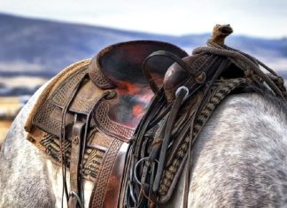 EX-FUNCIONÁRIO VAI BUSCAR PERTENCES EM FAZENDA E ACABA LEVANDO SELA DO PATRÃO