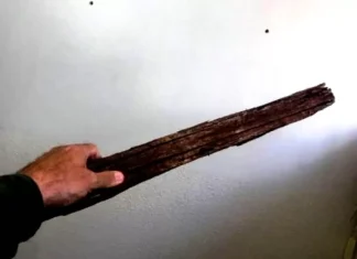 IDOSO DE 76 ANOS DÁ PAULADA NA FILHA DURANTE BRIGA E FOGE PARA MATA EM QUIRINÓPOLIS