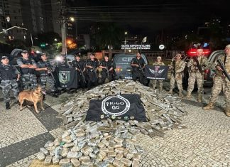 PM apreende arsenal e quase 2 toneladas de maconha escondidas em máquina agrícola