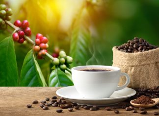 Há 7 anos produção mundial de café contabiliza déficit de 25 milhões de sacas