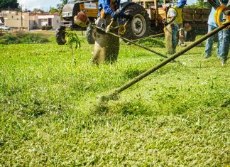 Prefeitura de Quirinópolis envia projeto de lei à Câmara para visando coibir a negligência de donos de lotes baldios com a limpeza de seus terrenos