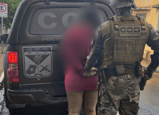 Mulher é presa por tráfico interestadual de drogas