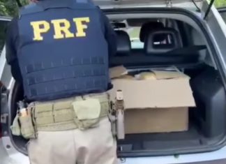 PRF APREENDE 25 KG DE SKUNK APÓS PERSEGUIÇÃO NA BR-060