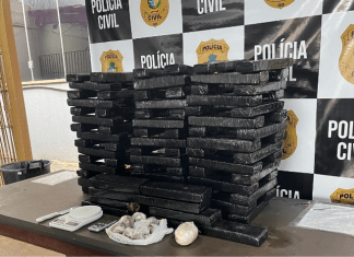 Polícia Civil prende sete pessoas por tráfico interestadual de drogas e apreende 100 kg de maconha