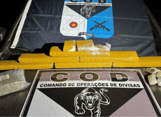 Mulher é presa com maconha, haxixe marroquino e skunk em ônibus que ia para Goiânia