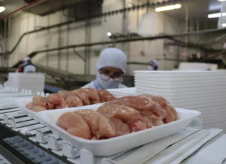Exportações de carne de frango de todo o país estão suspensas para 24 mercados, diz Fávaro